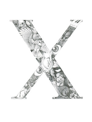 cover image of x